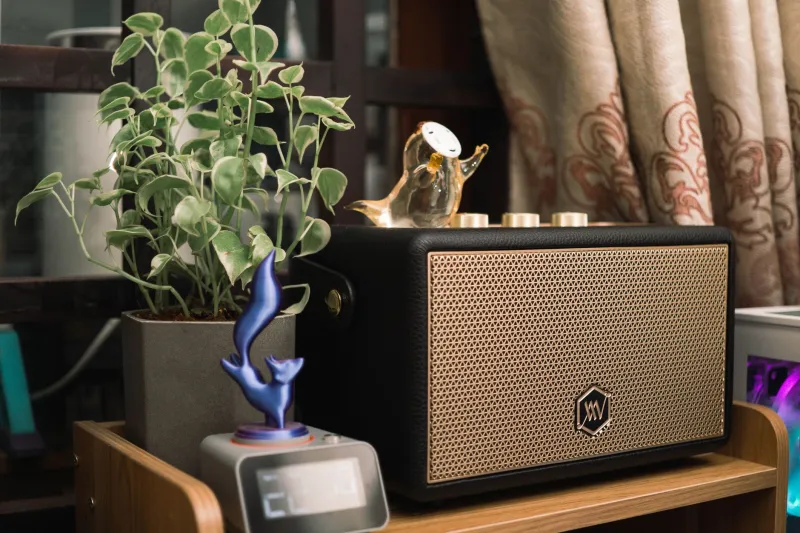 Classical, Jazz, or Ambient: What Your Cat's Musical Taste Actually Tells You